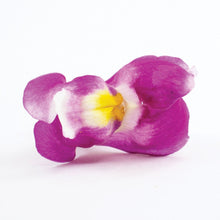 Load image into Gallery viewer, Flower Mix