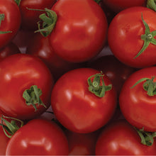 Load image into Gallery viewer, Tomatoes - Cocktail