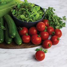 Load image into Gallery viewer, Tomatoes - Cocktail