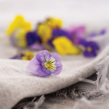 Load image into Gallery viewer, Viola