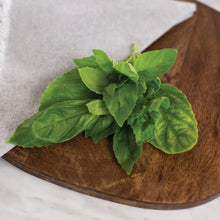 Load image into Gallery viewer, Basil