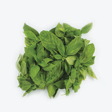 Load image into Gallery viewer, Basil