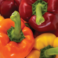 Load image into Gallery viewer, RED Bell Pepper