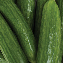 Load image into Gallery viewer, Mini Cukes