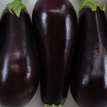 Load image into Gallery viewer, Eggplant