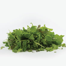 Load image into Gallery viewer, Elegance Mix