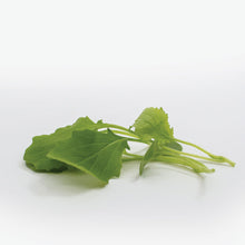 Load image into Gallery viewer, Elegance Mix