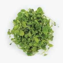 Load image into Gallery viewer, Elegance Mix