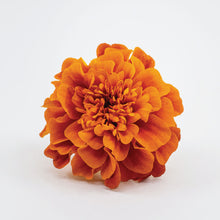 Load image into Gallery viewer, Flower Mix