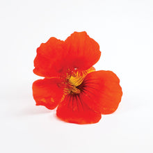 Load image into Gallery viewer, Flower Mix