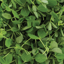 Load image into Gallery viewer, Pea Shoots