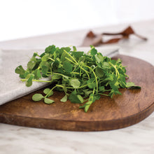 Load image into Gallery viewer, Pea Shoots