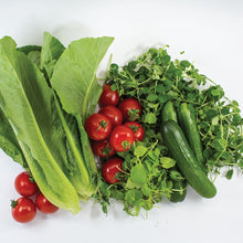 Load image into Gallery viewer, Pea Shoots