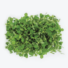 Load image into Gallery viewer, Pea Shoots