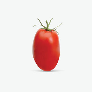 Tomatoes - Roma
