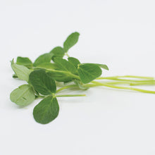 Load image into Gallery viewer, Pea Shoots